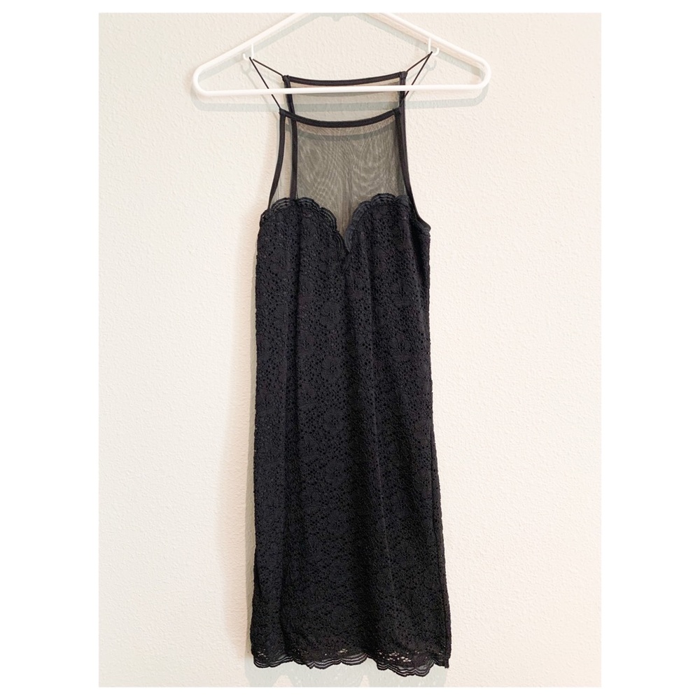 Sheer/Lace fitted Dress